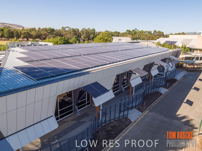 January 2019 / FLC_TANUNDA_295