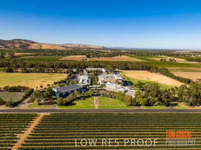 January 2019 / FLC_TANUNDA_307