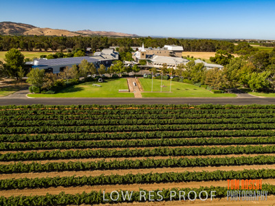 January 2019 / FLC_TANUNDA_313