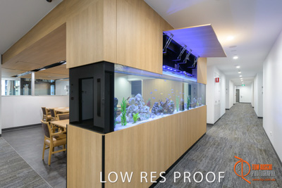 February 2019 / SARAH_ST_BASILS_017_190220_