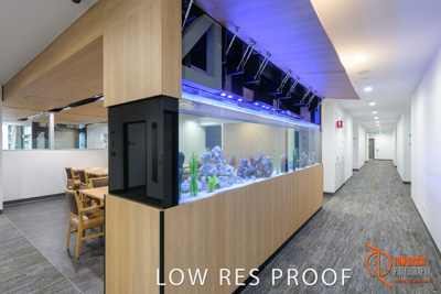 February 2019 / SARAH_ST_BASILS_018_190220_