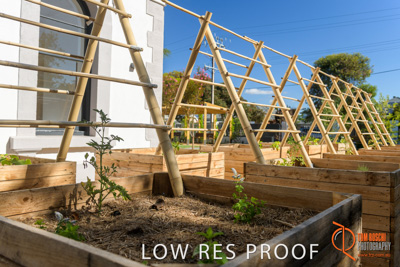 February 2019 / SARAH_ST_BASILS_138_190220_