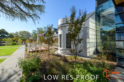 February 2019 / SARAH_ST_BASILS_150_190220_