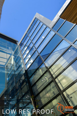 February 2019 / SARAH_ST_BASILS_157_190220_