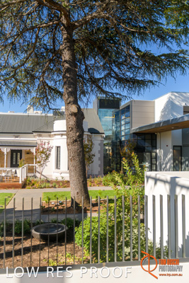 February 2019 / SARAH_ST_BASILS_205_190220_