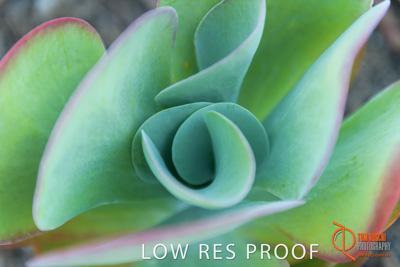 February 2019 / SARAH_ST_BASILS_286_190220_