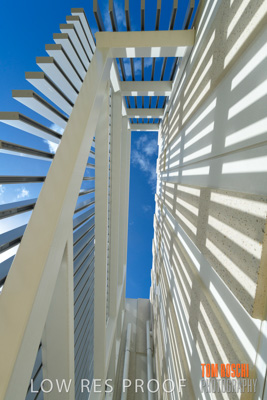 March 2019 / KILDARE_018