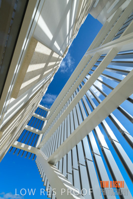 March 2019 / KILDARE_020