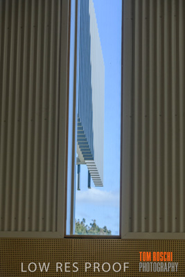 March 2019 / KILDARE_048