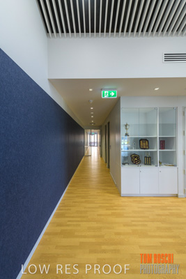 March 2019 / KILDARE_067