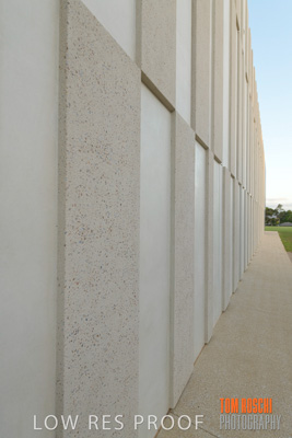 March 2019 / KILDARE_160