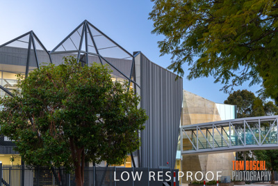 August 2019 / PEMBROKE_190817_0008