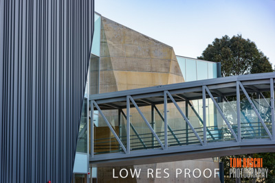 August 2019 / PEMBROKE_190817_0052