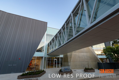 August 2019 / PEMBROKE_190817_0073