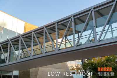 August 2019 / PEMBROKE_190817_0093