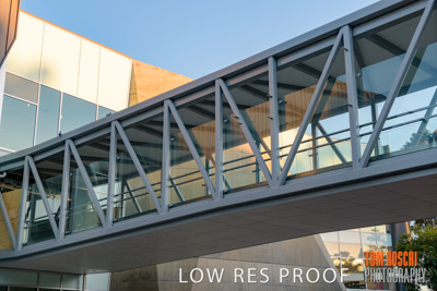 August 2019 / PEMBROKE_190817_0096