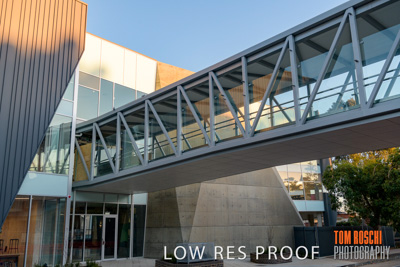 August 2019 / PEMBROKE_190817_0098