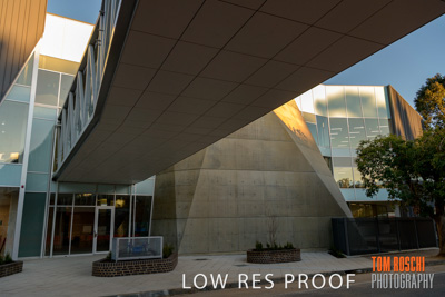 August 2019 / PEMBROKE_190817_0114