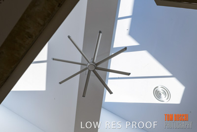 August 2019 / PEMBROKE_190817_0169