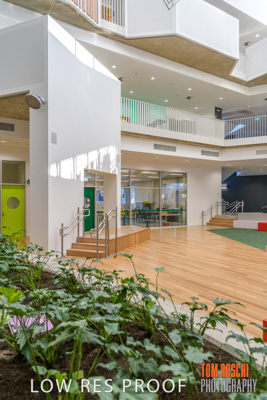 August 2019 / PEMBROKE_190817_0219