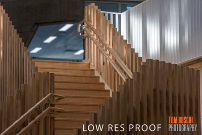 August 2019 / PEMBROKE_190817_0233