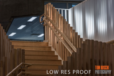 August 2019 / PEMBROKE_190817_0234