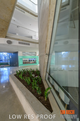 August 2019 / PEMBROKE_190817_0253