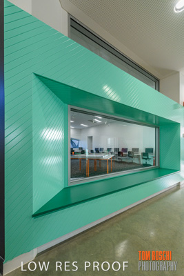 August 2019 / PEMBROKE_190817_0286