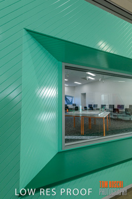 August 2019 / PEMBROKE_190817_0289