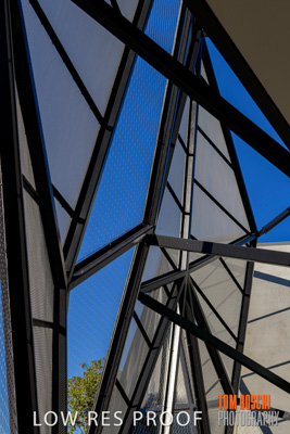 August 2019 / PEMBROKE_190817_0385