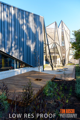 August 2019 / PEMBROKE_190817_0391