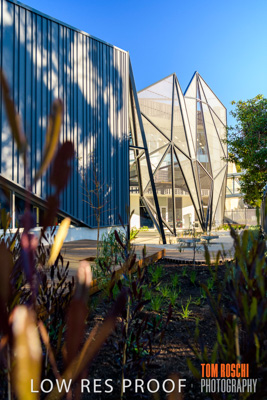 August 2019 / PEMBROKE_190817_0397