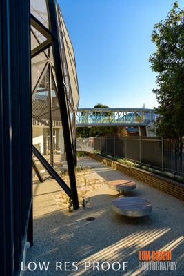 August 2019 / PEMBROKE_190817_0412