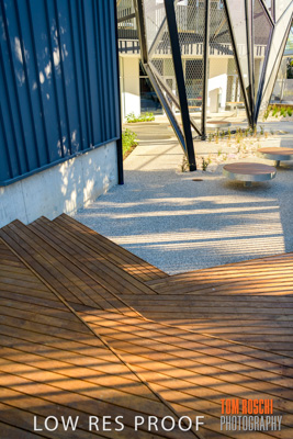 August 2019 / PEMBROKE_190817_0415