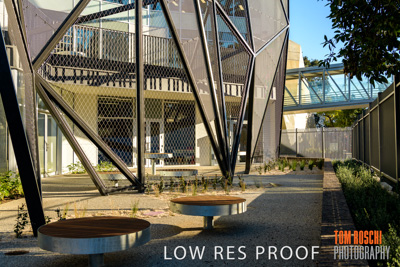 August 2019 / PEMBROKE_190817_0427