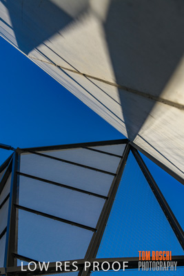 August 2019 / PEMBROKE_190817_0469