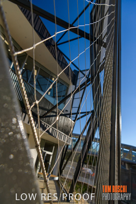 August 2019 / PEMBROKE_190817_0478