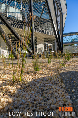 August 2019 / PEMBROKE_190817_0490