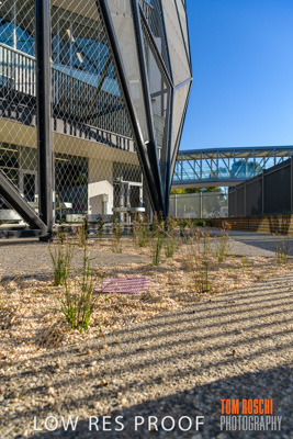 August 2019 / PEMBROKE_190817_0493