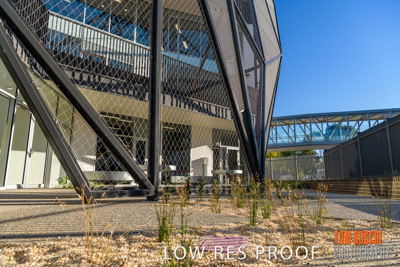 August 2019 / PEMBROKE_190817_0499