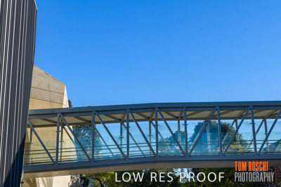 August 2019 / PEMBROKE_190817_0508