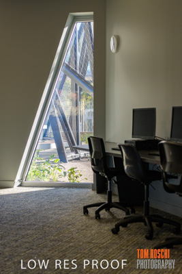 August 2019 / PEMBROKE_190817_0529