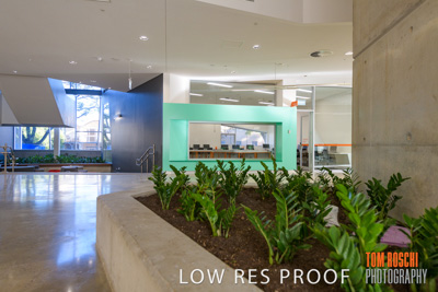 August 2019 / PEMBROKE_190817_0574