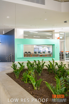 August 2019 / PEMBROKE_190817_0583