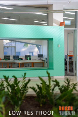 August 2019 / PEMBROKE_190817_0593