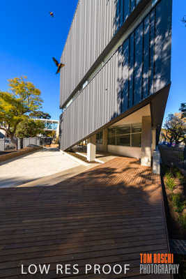 August 2019 / PEMBROKE_190817_0738