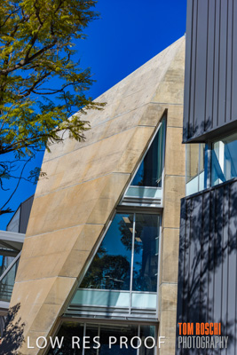 August 2019 / PEMBROKE_190817_0842