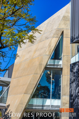 August 2019 / PEMBROKE_190817_0844