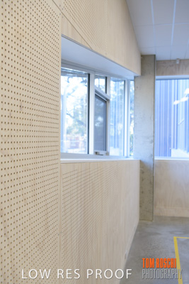 August 2019 / PEMBROKE_190817_0865