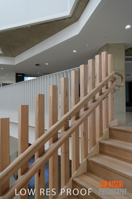 August 2019 / PEMBROKE_190817_0889